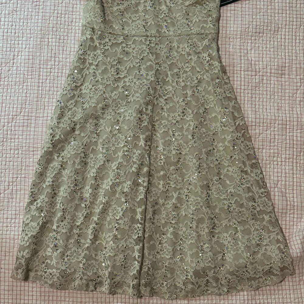 R&M Richards Sequin Lace Dress…it’s Holiday Party Time!